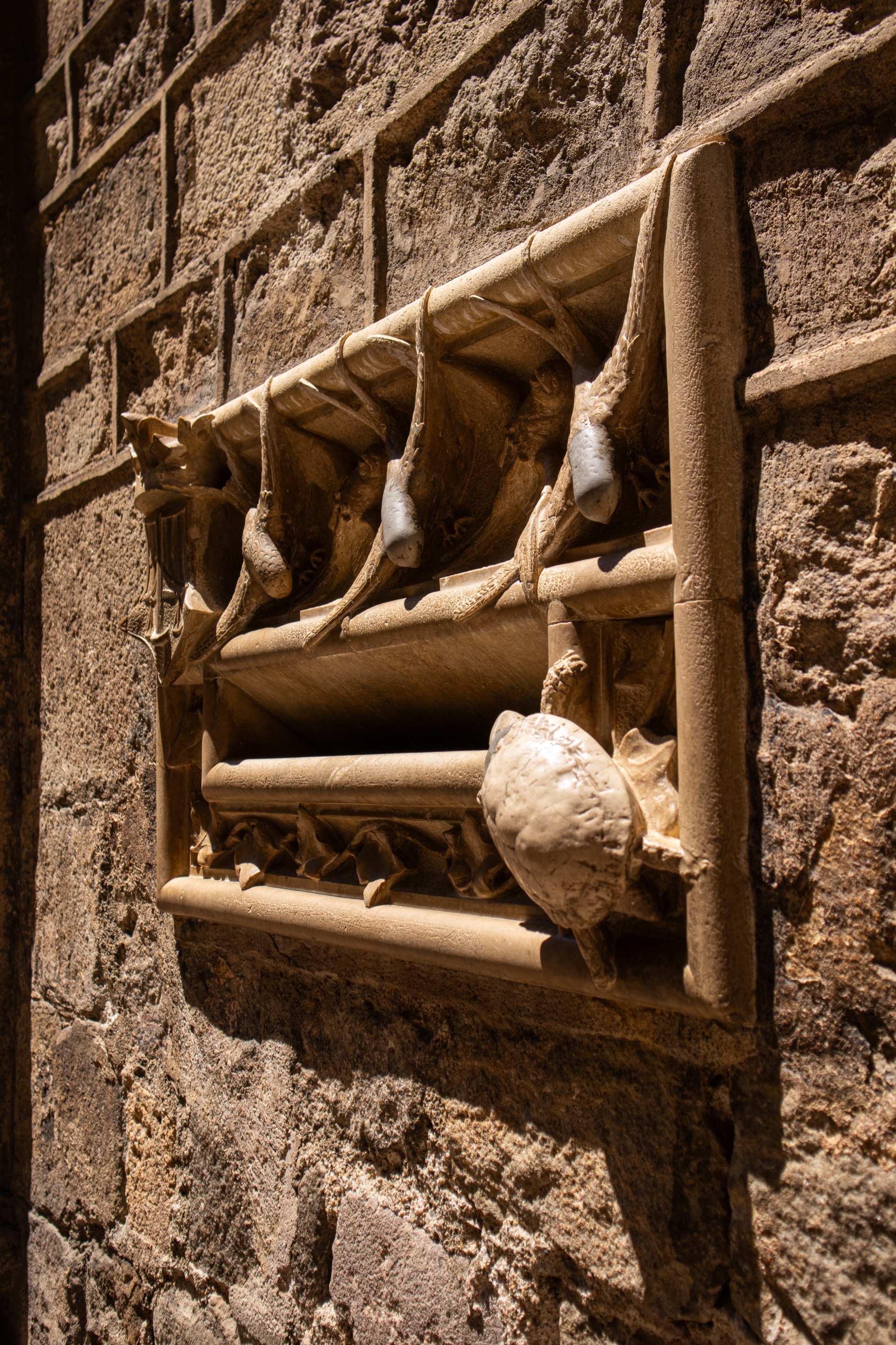 Tour image 5