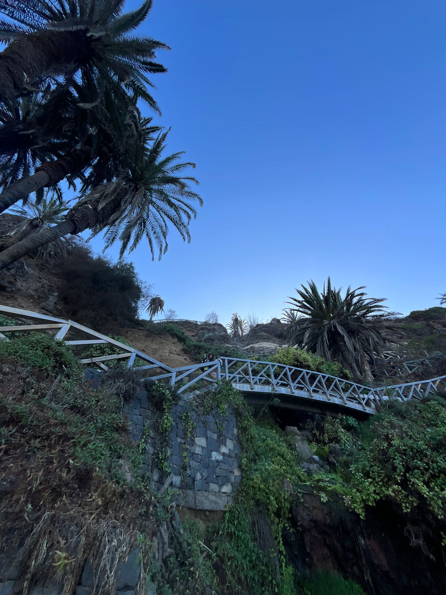 Tour image 4