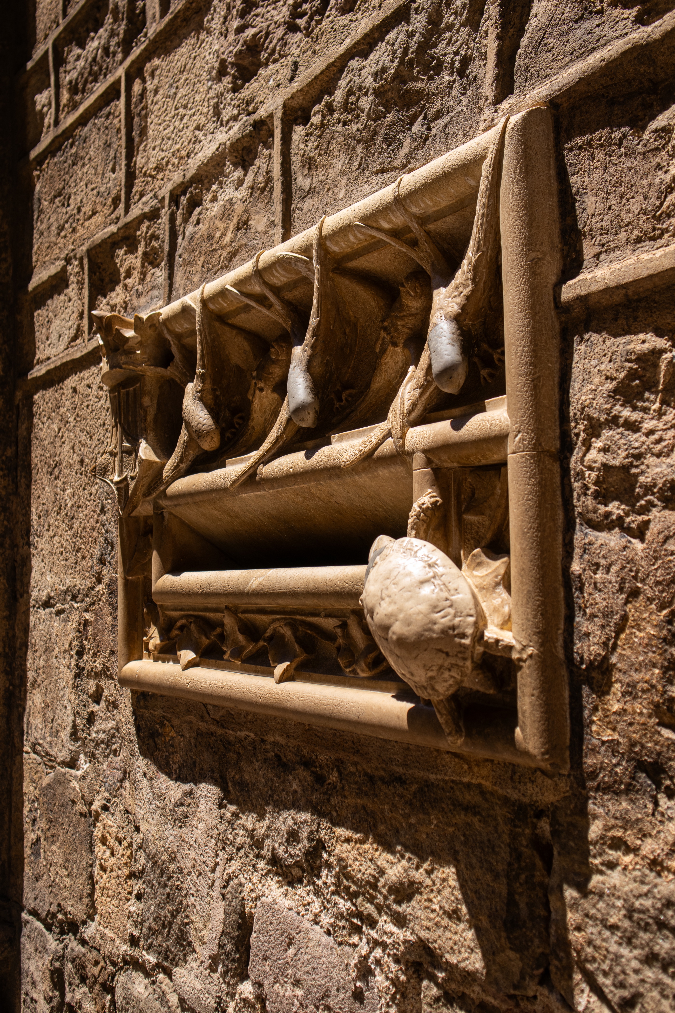 Tour image 4