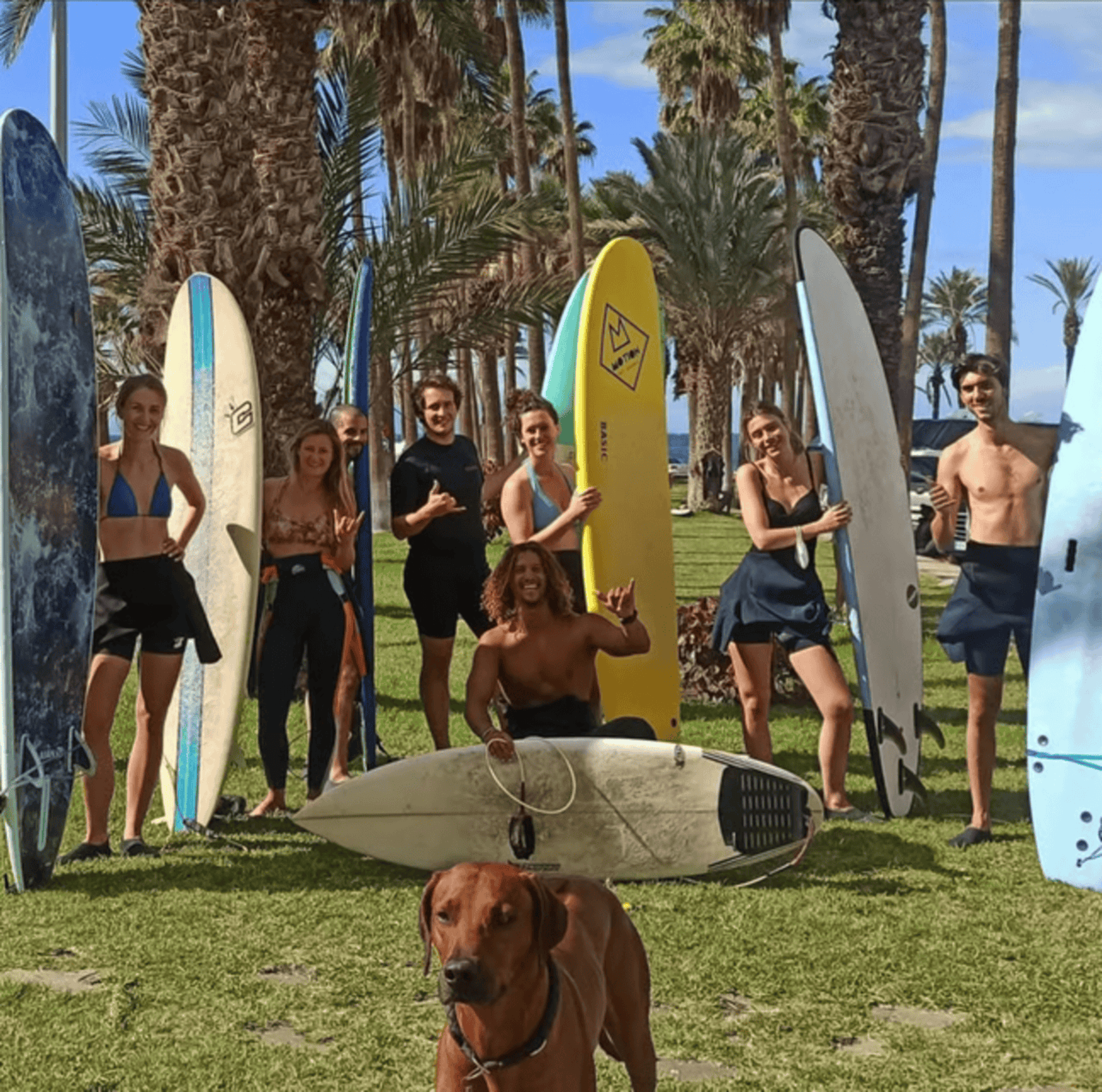 Tenerife: Beginner Surf Experience in Playa de las Américas