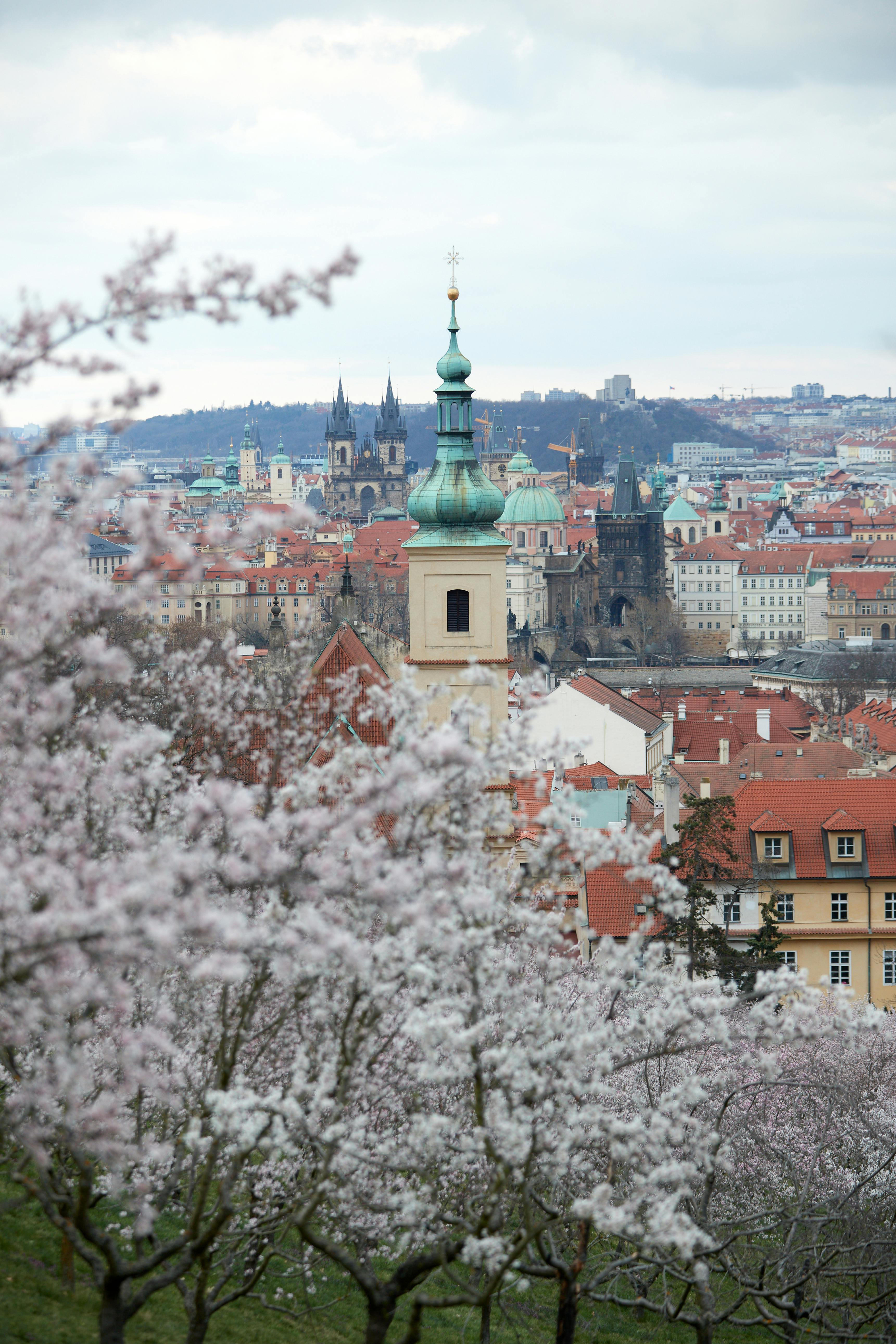 Tour image 5