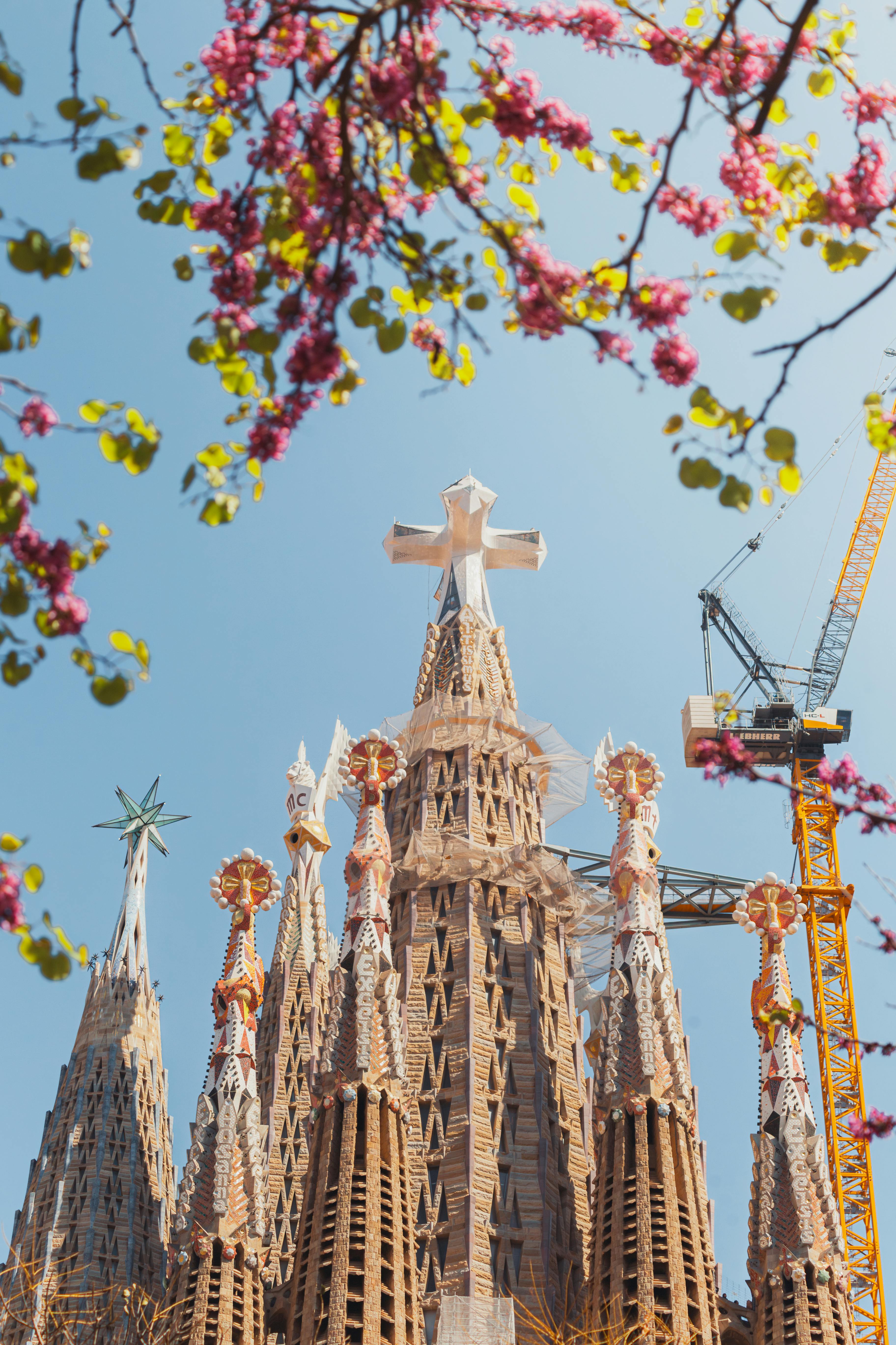 Barcelona Small-Group Walking Tour