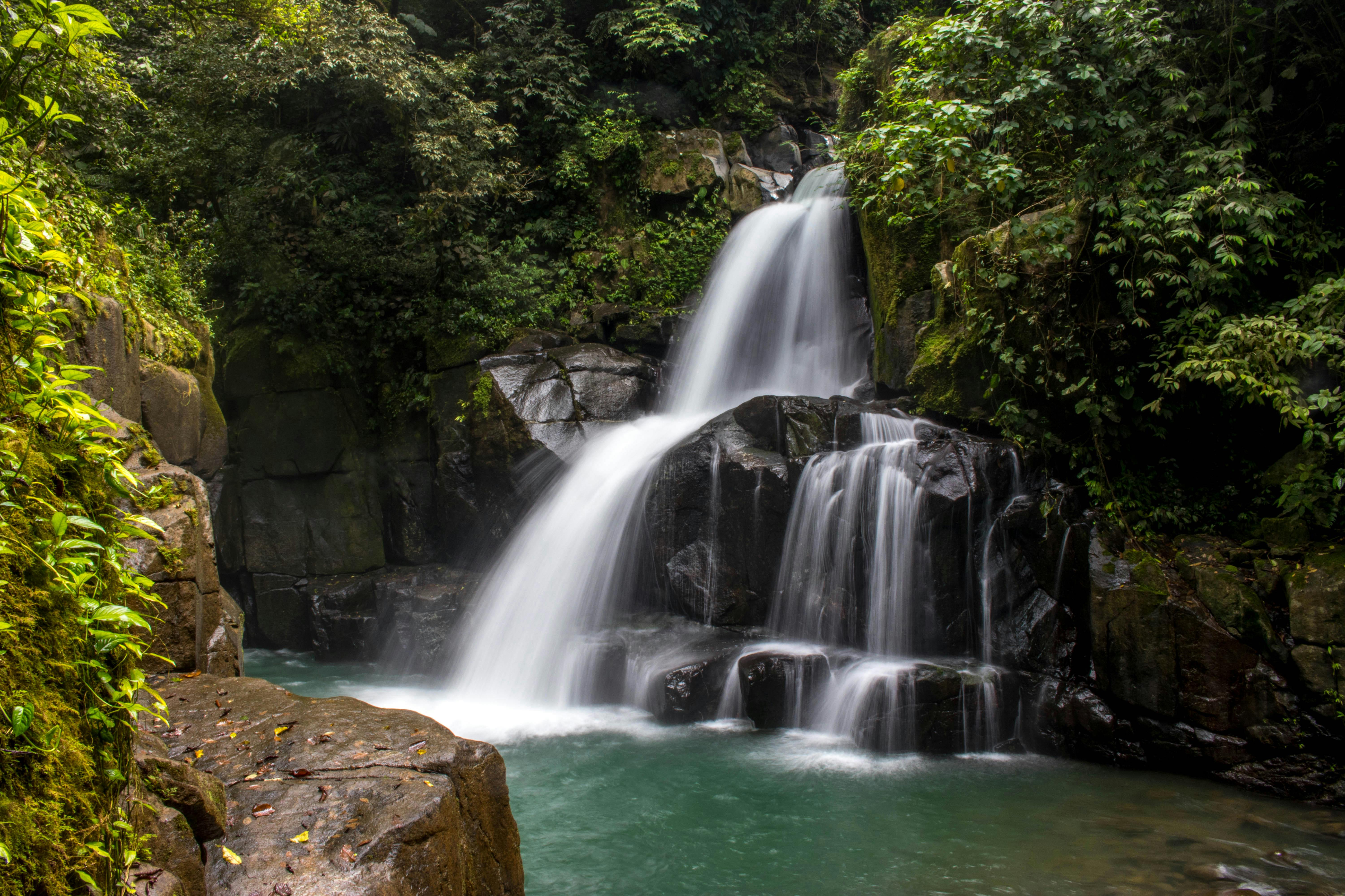 Tenerife: Hidden Waterfalls & Wild North Coast Experience